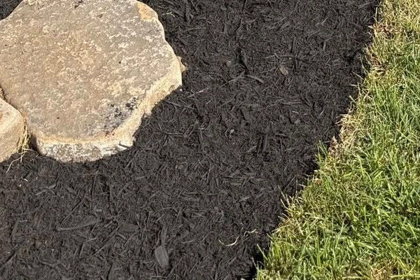 freshly mulched flower bed