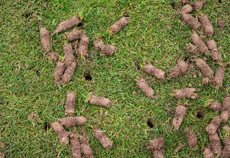 lawn aeration closeup seeding