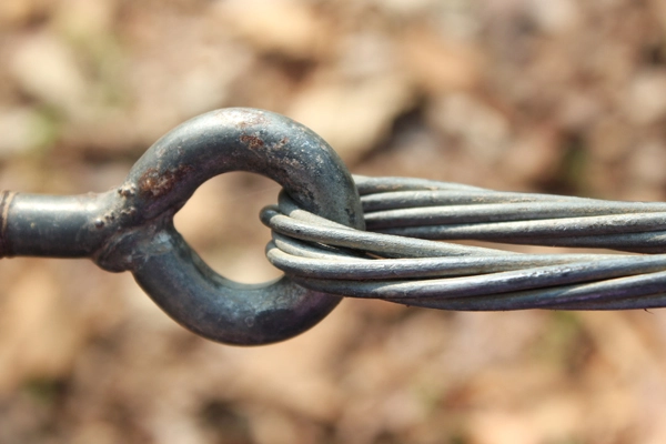 tree cabling bracing